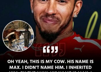  “THE COW STORY THAT SHOOK F1?” — Lewis Hamilton Shares Bizarre Tale About a Cow He Adopted… Fans Wonder: Was It a Hidden Jab at Max Verstappen?