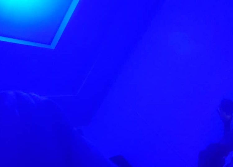 Dogstar has just announced a new album called All In Now. The album is scheduled to be released May 29, 2026, marking the band’s fourth studio album and their second major project since reuniting in 2023.